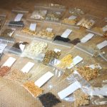 heirloom vegetable seeds
