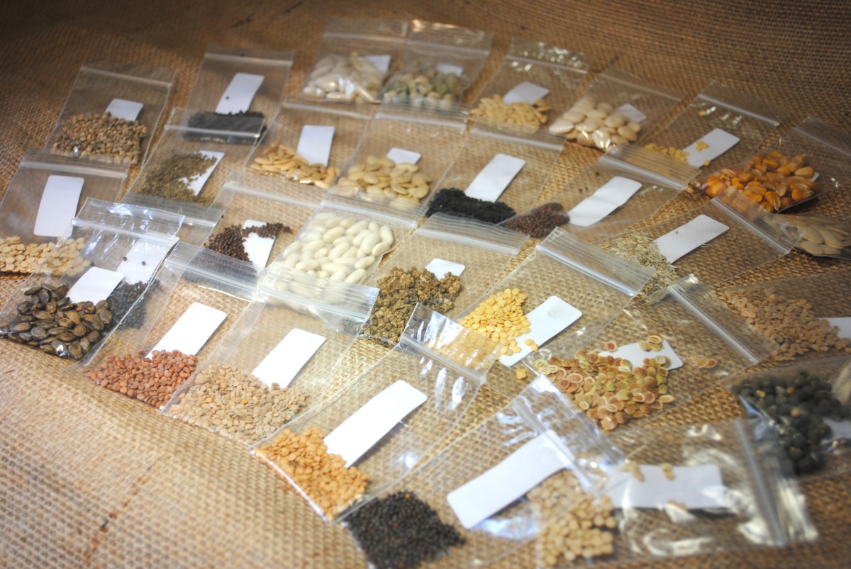 heirloom vegetable seeds